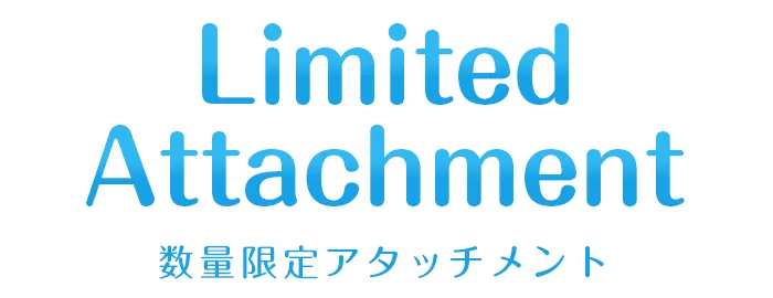 数量限定アタッチメント