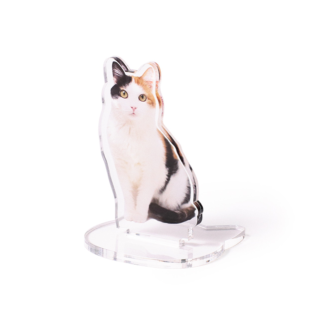 ペットやご家族の写真で