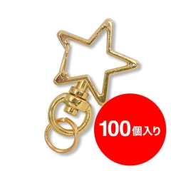 【アタッチメント】星ナスカン（ゴールド）100個